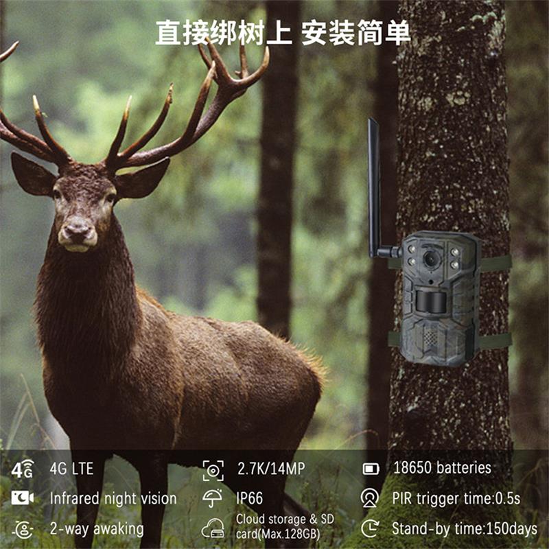 4G LTE Solar Hunting Trail Cam - огляд і ціна Outdoor Hunting Video Camera